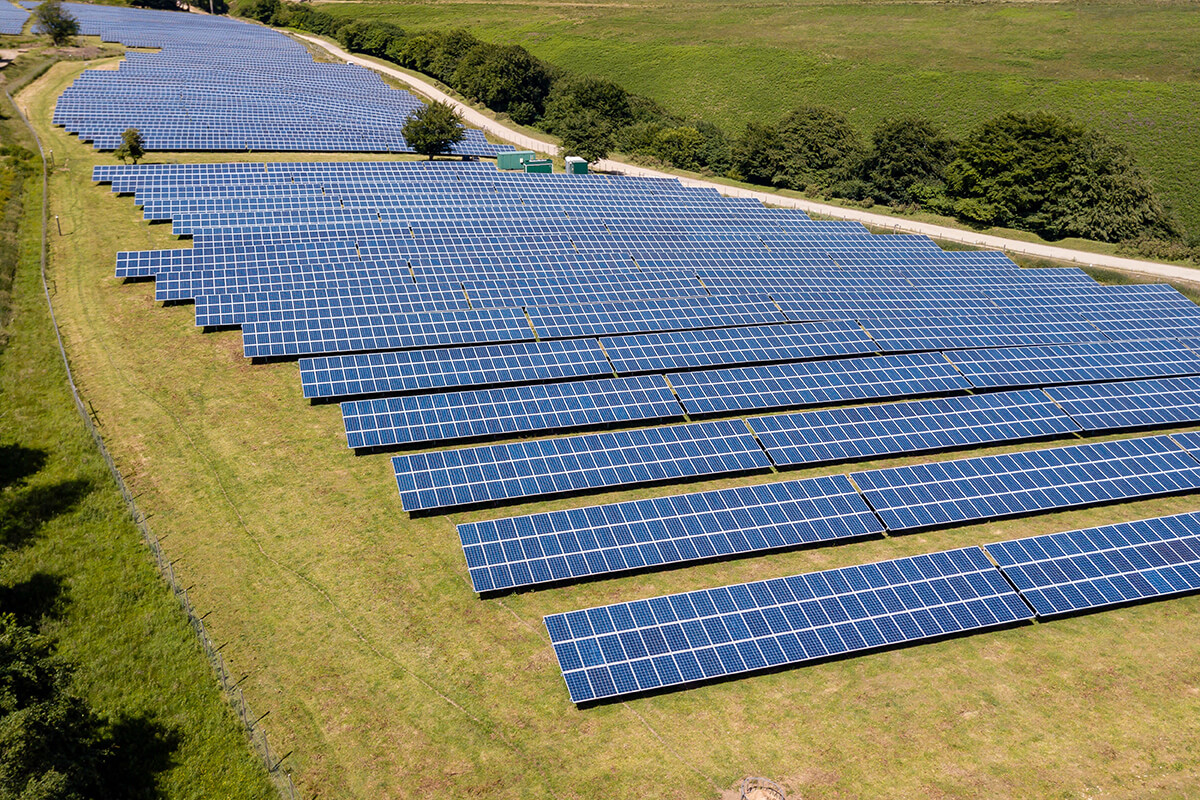 Rows of solar panels in a field