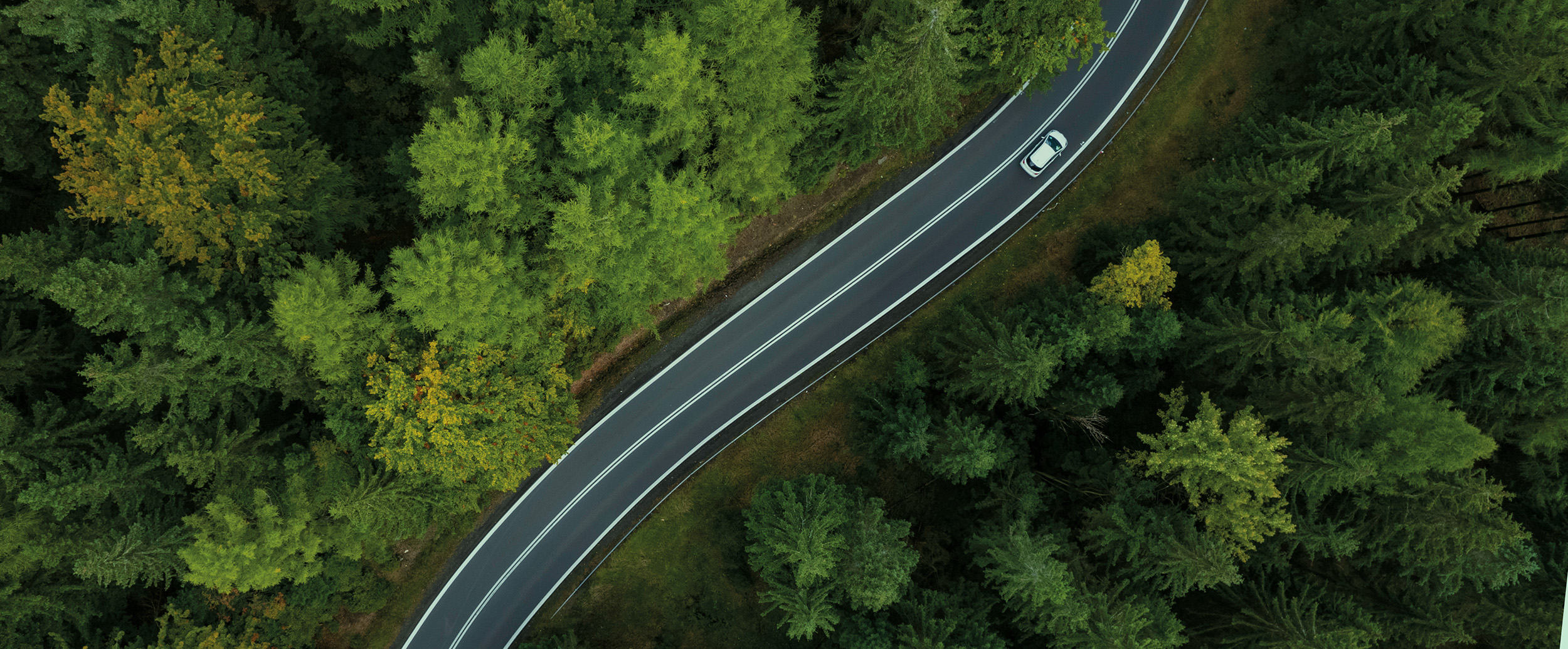 Bird's eye view of a car driving through a forest