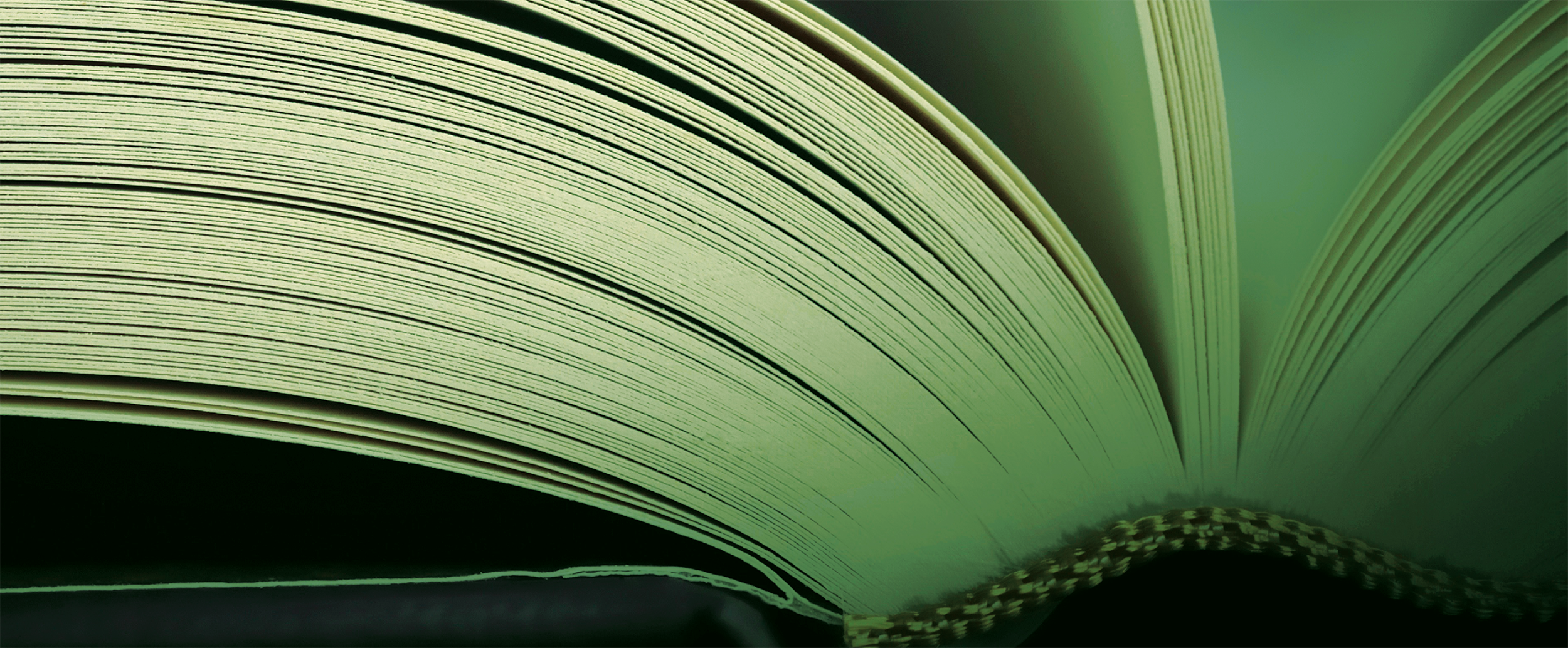 Close up of an open book spine